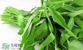 空心菜可以生吃吗?空心菜能生吃吗 空心菜可以生吃吗?空心菜能生吃吗