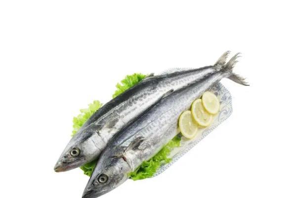 鲅鱼和青鱼的区别 鲅鱼是寒性还是热性 鲅鱼和青鱼的区别 鲅鱼是寒性还是热性