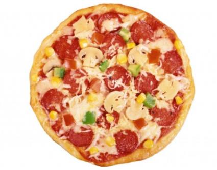 披萨饼用什么面粉 披萨饼的做法 披萨饼用什么面粉 披萨饼的做法