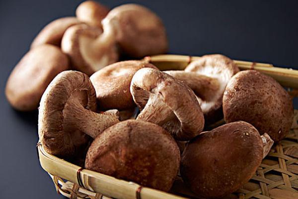 香菇有毒性吗 新鲜香菇不过水有毒吗 香菇有毒性吗 新鲜香菇不过水有毒吗