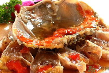 膏蟹是河蟹还是海蟹?膏蟹是什么蟹? 膏蟹是河蟹还是海蟹?膏蟹是什么蟹?