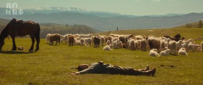 专家、影评人点评《我的阿勒泰》:艺术价值无可替代