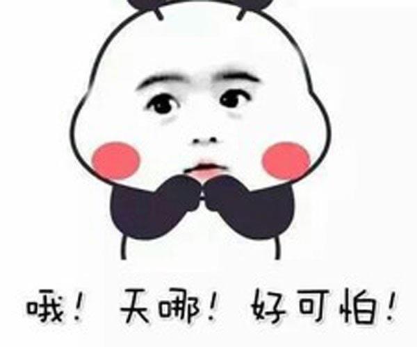 娱乐wwe尼基贝拉被扒衣 一场比赛凶残蹂躏美女全场沸腾 4