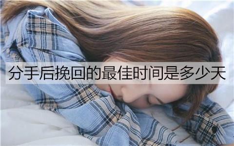 分手后挽回的最佳时间是多少天2