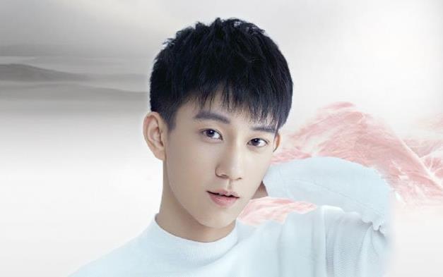 娱乐演员王子奇哪里人,王子奇多大了 2