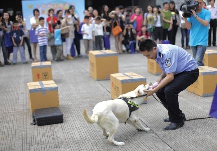 探秘广东博社村真实事件 扫毒全程多少人被判死刑 3