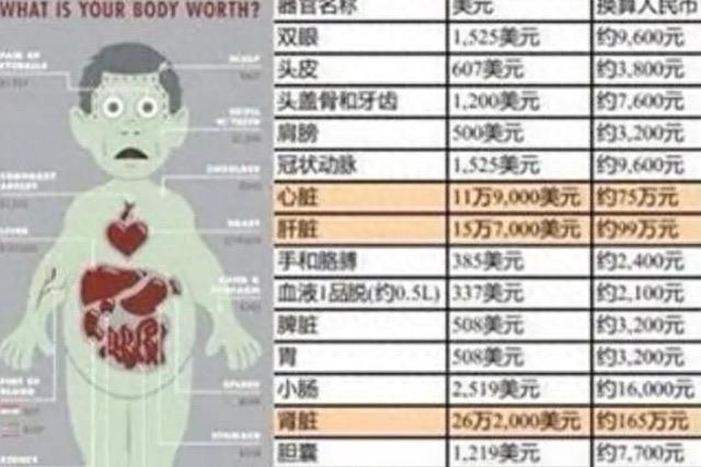 探秘如果大量美国人被割了腰子，缅北会是什么下场？很过瘾但也很危险  4