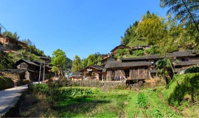 探秘福建省长汀县丁屋岭石蛤蟆cs 2