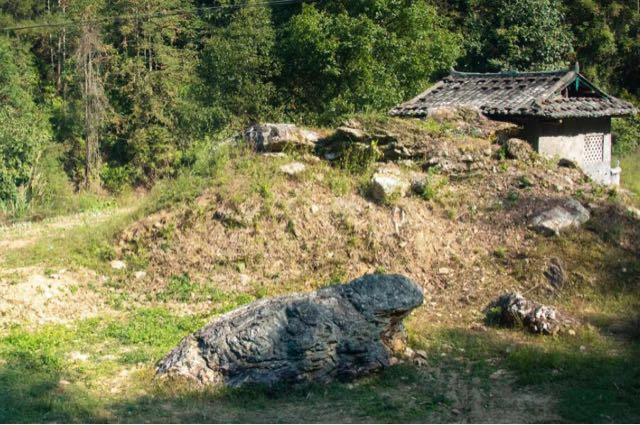 探秘福建省长汀县丁屋岭石蛤蟆cs 3