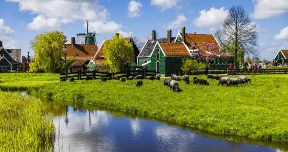 探秘荷兰为什么地势那么低(荷兰被称为低洼之国原因) 3