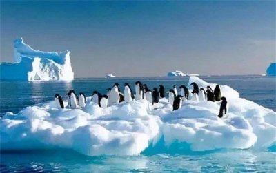 跨经度最多的大洲和大洋 是南极洲和北冰洋(环境独特)