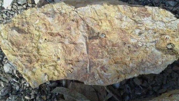 探秘稀有金属有哪些,稀有金属排名 2