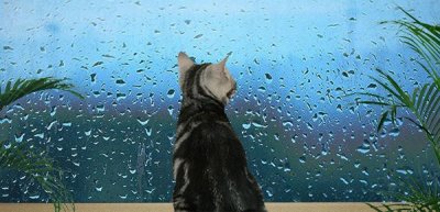 孩子上初中了还爱看动画片怎么办