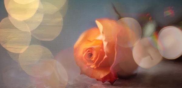 针对你的人是什么想法