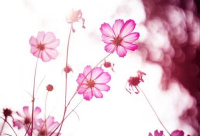 冷门好听的花名绰号 花名绰号大全