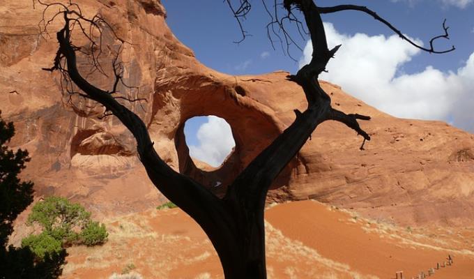 12f657bc918a2f31351117649f961563.jpeg ear-of-the-wind-g64eaf5650_640.jpeg