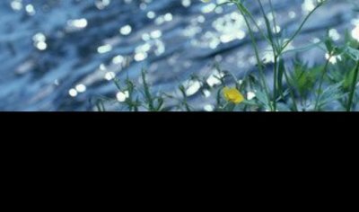 出生日期五行查询表 出生年月和五行对照表大全