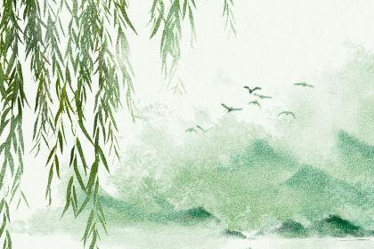 吵架怎么原谅女朋友不伤心