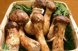 松茸煮多久可以吃?松茸怎么吃最有营养