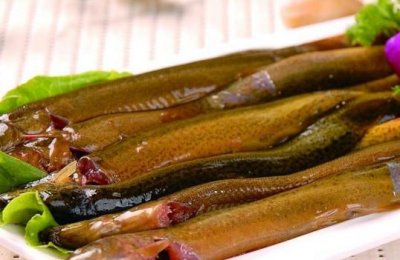 ​泥鳅有刺吗？泥鳅有鳞片吗