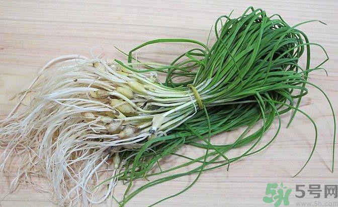 压根大法师要 规夺夺方 057.jpg