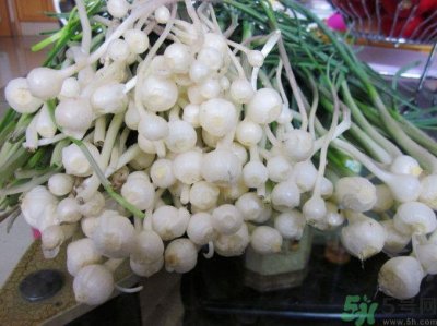 ​山蒜能吃吗？小山蒜有毒吗吃了对身体有害吗？