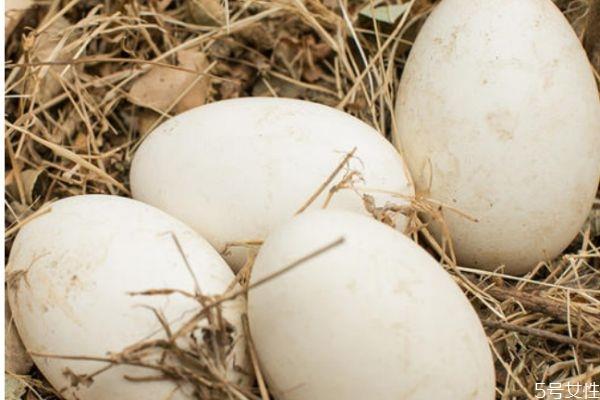 怀孕能吃鹅蛋吗 怀孕吃鹅蛋会怎么样呢
