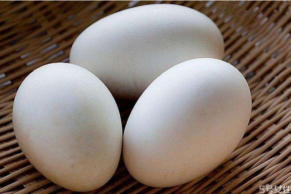怀孕能吃鹅蛋吗 怀孕吃鹅蛋会怎么样呢
