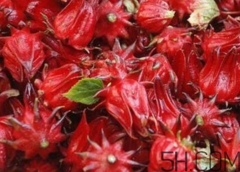 洛神果是什么？洛神果和洛神花区别