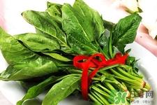 吃菠菜能减肥吗？3日菠菜减肥食谱减肥不反弹
