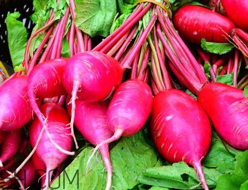 红萝卜不能和什么一起吃 红萝卜和什么相克