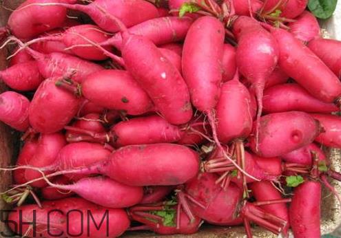 红萝卜不能和什么一起吃 红萝卜和什么相克