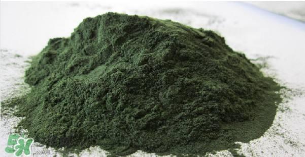螺旋藻粉怎么吃？螺旋藻粉的功效与作用
