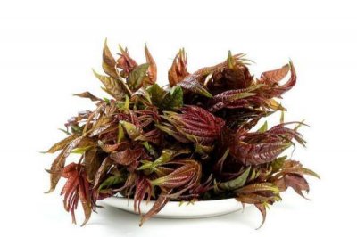 ​香椿有多少种类 香椿有什么营养价值