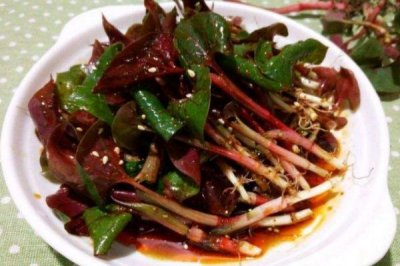 ​折耳根是发物吗 折耳根是茅草根吗