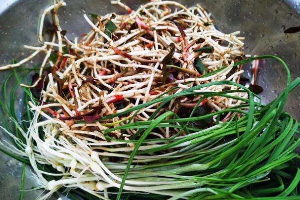 折耳根是发物吗 折耳根是茅草根吗 折耳根是发物吗 折耳根是茅草根吗