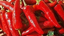 吃辣椒呛到气管怎么办?食用辣椒注意事项 吃辣椒呛到气管怎么办?食用辣椒注意事项