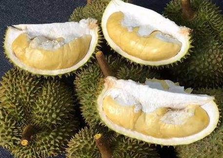 甲仑榴莲是哪里的特产 甲仑榴莲的产地 甲仑榴莲是哪里的特产 甲仑榴莲的产地