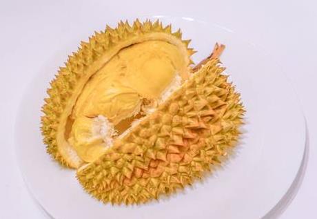 甲仑榴莲是哪里的特产 甲仑榴莲的产地 甲仑榴莲是哪里的特产 甲仑榴莲的产地