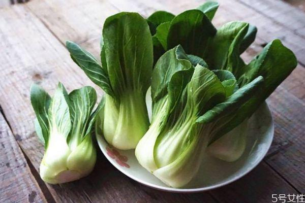 上海青有什么营养价值 吃上海青的好处有什么 上海青有什么营养价值 吃上海青的好处有什么