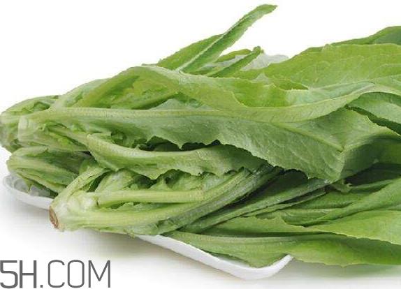 油麦菜可以隔夜吗?油麦菜可以涮火锅吗 油麦菜可以隔夜吗?油麦菜可以涮火锅吗