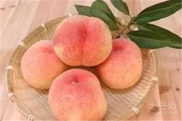 桃子是热带水果吗 桃子是什么季节的水果 桃子是热带水果吗 桃子是什么季节的水果