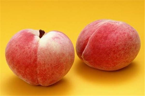 桃子是热带水果吗 桃子是什么季节的水果 桃子是热带水果吗 桃子是什么季节的水果