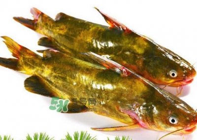 ​黄蜂鱼怎么煮好吃？黄蜂鱼炖汤孕妇可以喝吗