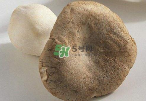 杏鲍菇用水焯吗？杏鲍菇怎么做好吃