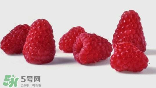 孕妇可以吃山莓吗？孕妇能不能吃山莓