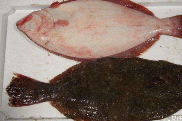 什么是小嘴鱼呢 小嘴鱼有什么营养价值呢