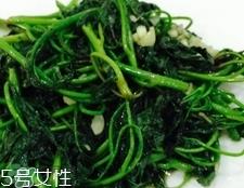 长寿菜是什么菜?长寿菜长什么样子? 长寿菜是什么菜?长寿菜长什么样子?