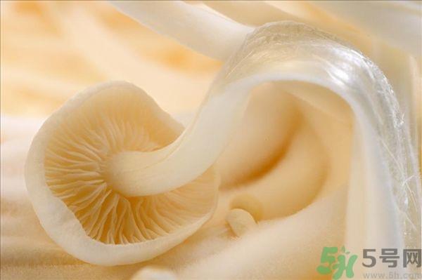 致癌金针菇怎么鉴别？如何选购金针菇？