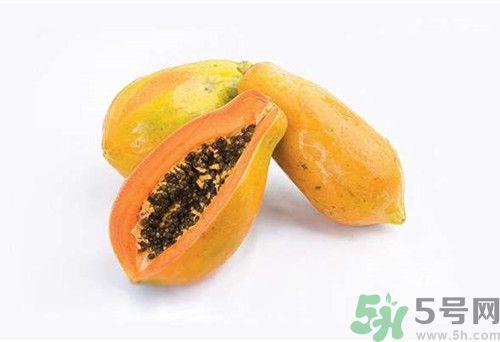 番木瓜是木瓜吗?番木瓜和木瓜的区别